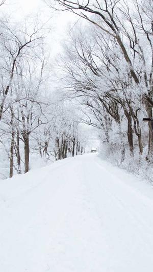 四平网站建设截图2