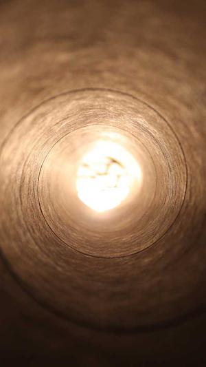 蜘蛛池推送截图3