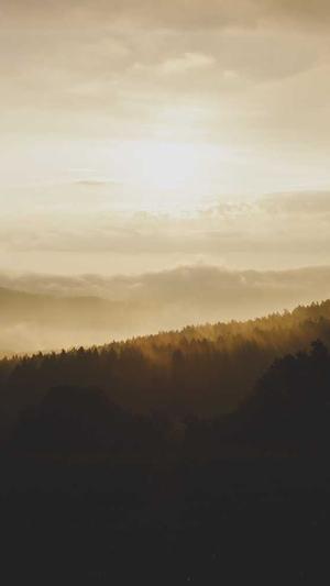 seo优化页面截图3