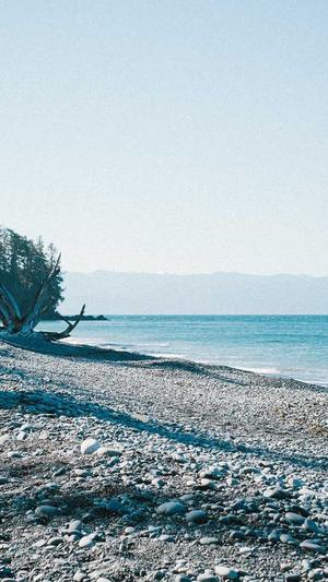 网站建设营销型截图3