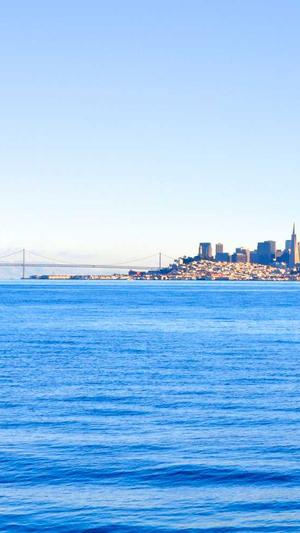 蜘蛛池有用吗骗局截图4