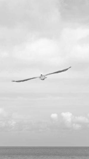 seo排名工具网站截图2