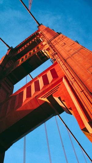 梧州网站建设截图1