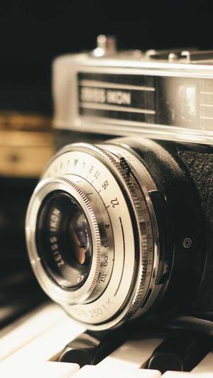 蜘蛛池多少钱一米长截图2