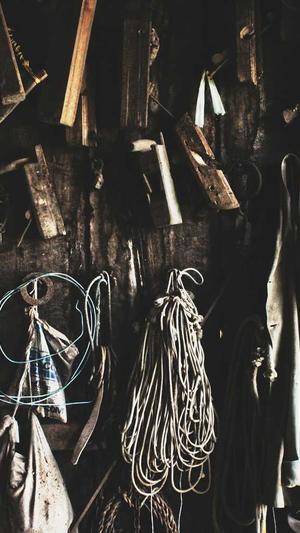 如何利用蜘蛛池钓鱼截图2