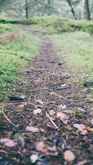 优化seo工具截图1