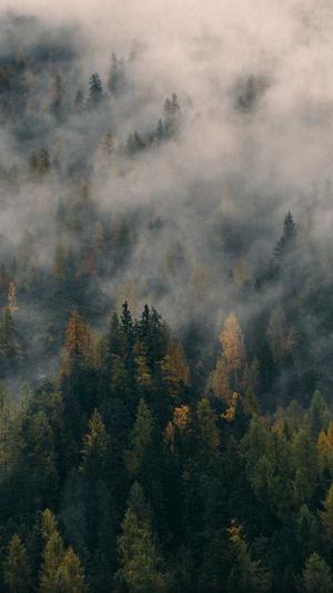 seo网络优化是什么截图3