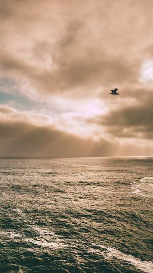 怀柔网站建设截图4