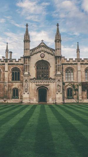 泛目录泛解析站群截图1