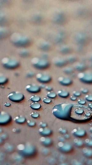 外包seo工具截图3