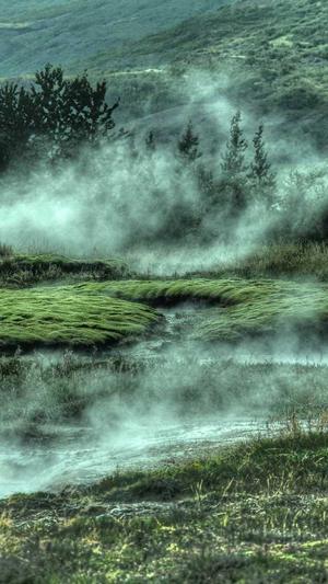 甘肃蜘蛛池出租平台截图3