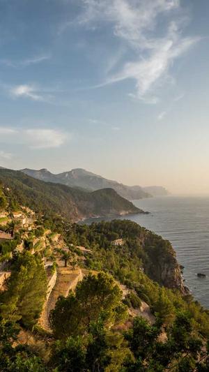 青岛seo优化工具截图1