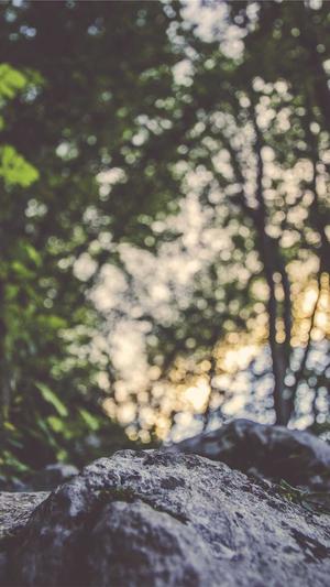 石家庄seo排名截图1