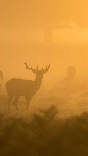 杭州的网站建设截图2