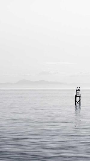 seo工具优化截图1