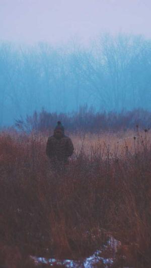 中国建设监理协会网站截图1