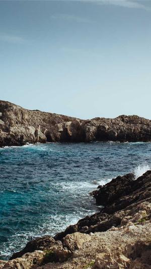 阿里蜘蛛池官网截图5