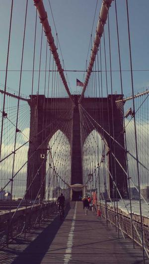 蜘蛛池多少钱一只截图1