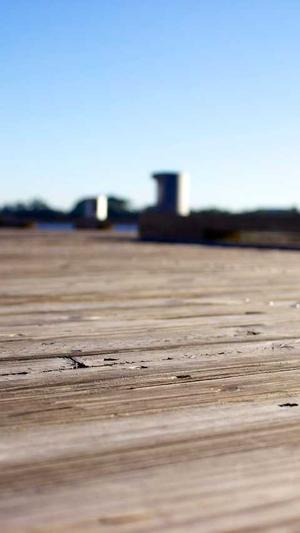 蜘蛛池多少钱一米长截图5