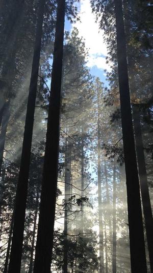 网站优化seo培训截图5