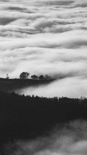 律师网站建设截图2