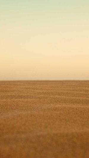 seo培训课程截图1