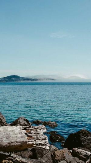 珠海网站建设截图1