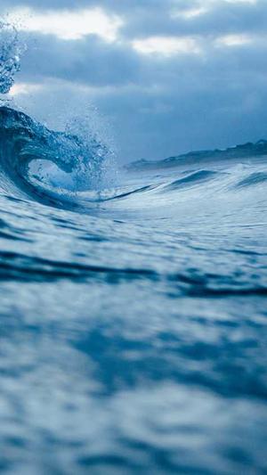 Seo优化工具截图4